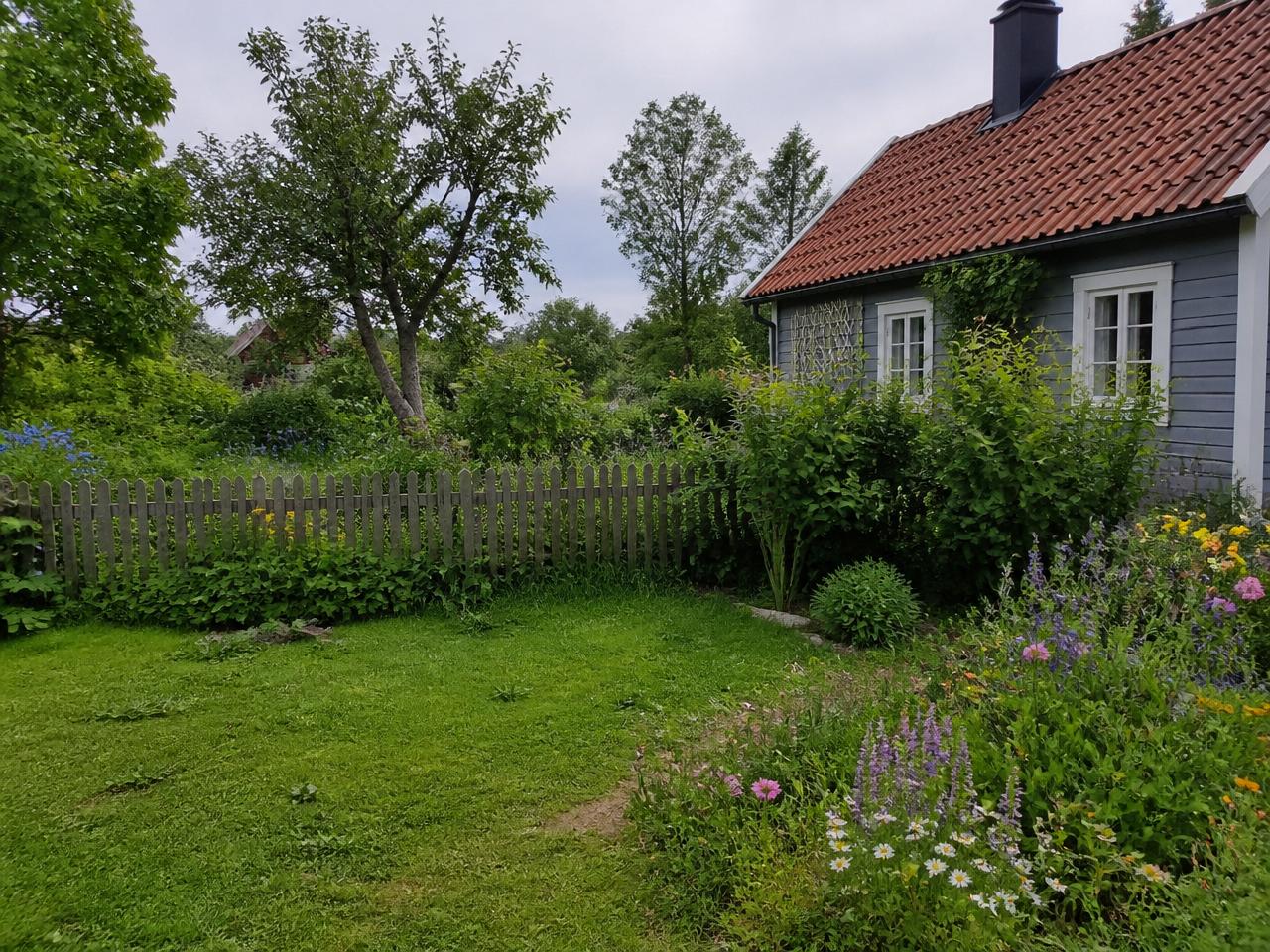 Naturlig och välskött trädgård vid ett svenskt boende